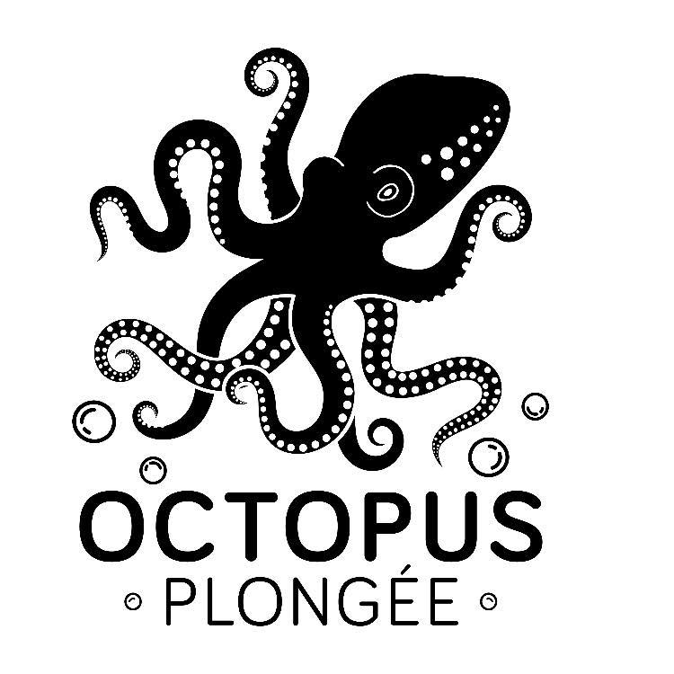 OCTOPUS PLONGEE